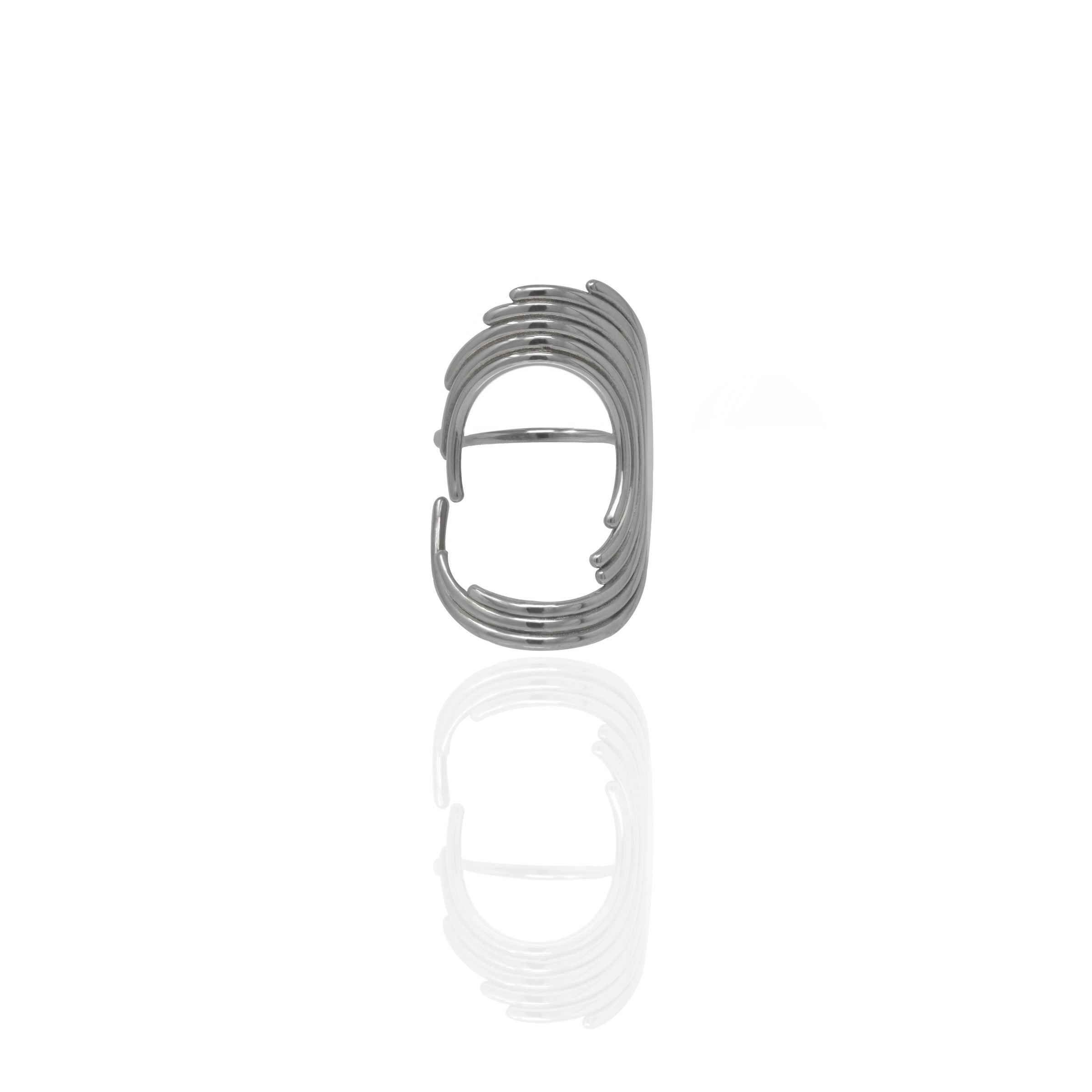 The Orion Ring
