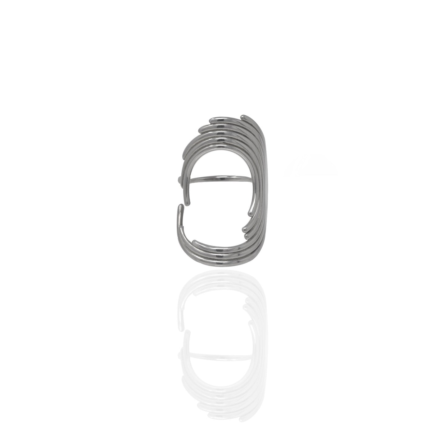 The Orion Ring